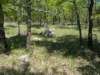 pxl_20250412_172146684_small.jpg