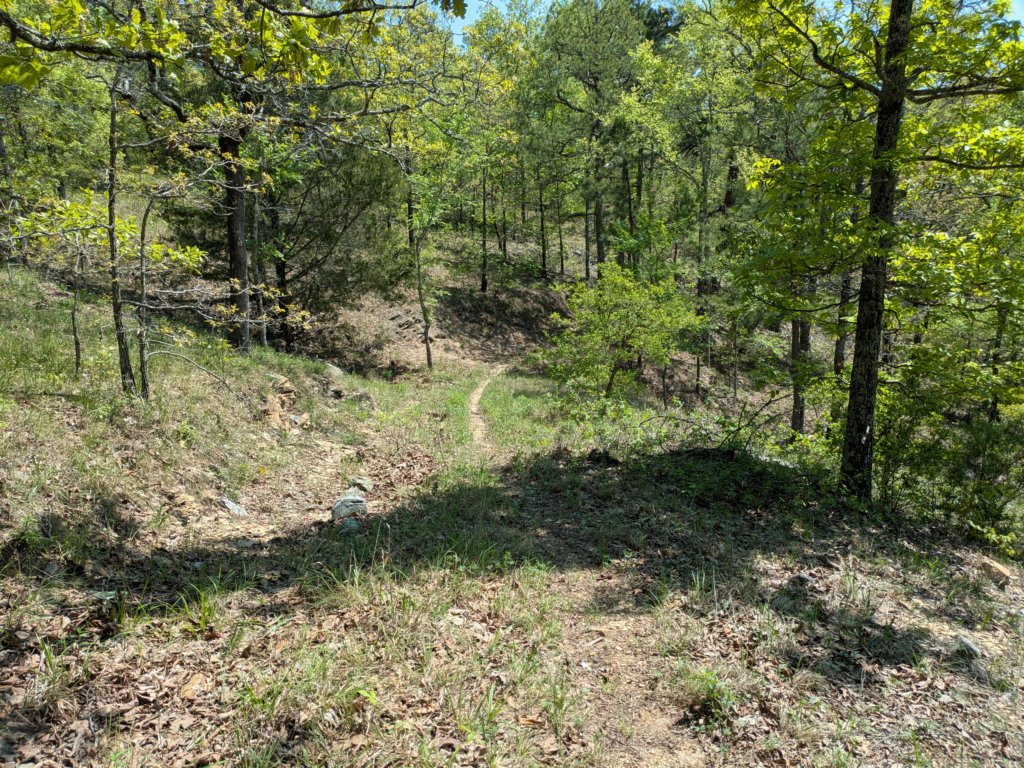pxl_20250412_172217076.jpg