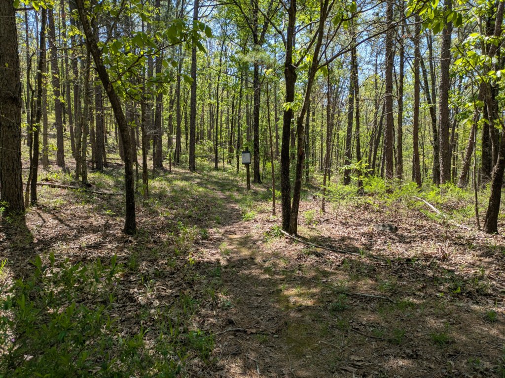 pxl_20250412_172728823.jpg