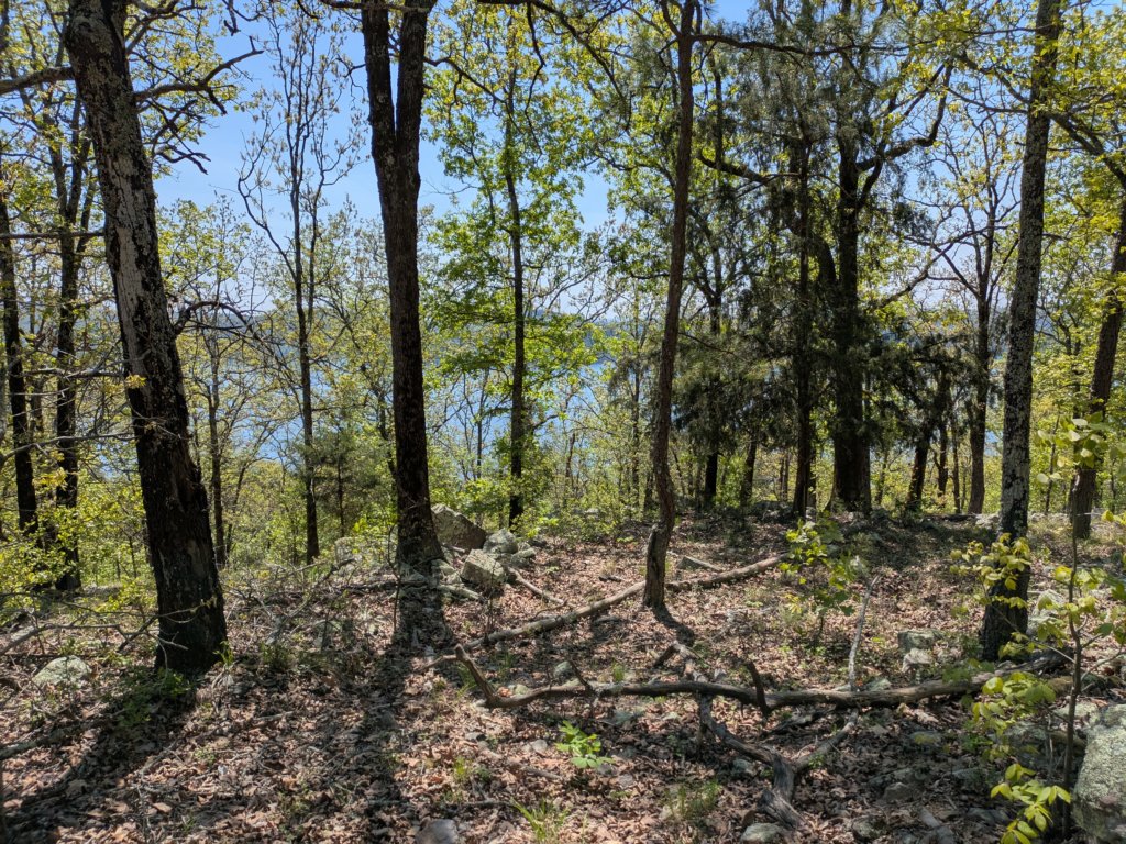 pxl_20250412_173716436.jpg