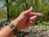 pxl_20250412_173816067_small.jpg