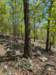 pxl_20250412_175354654_small.jpg