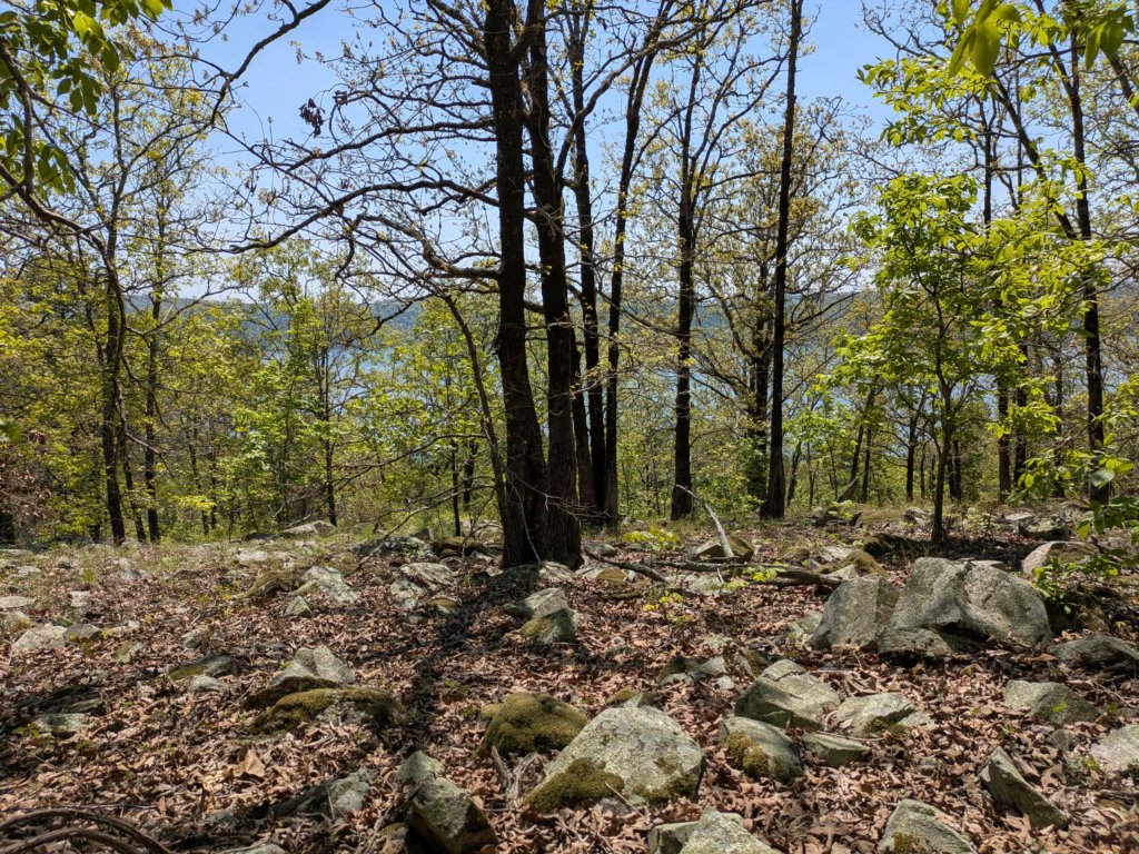 pxl_20250412_175401186.jpg