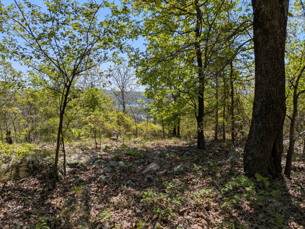 pxl_20250412_175632547.jpg