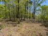 pxl_20250412_175642066_small.jpg