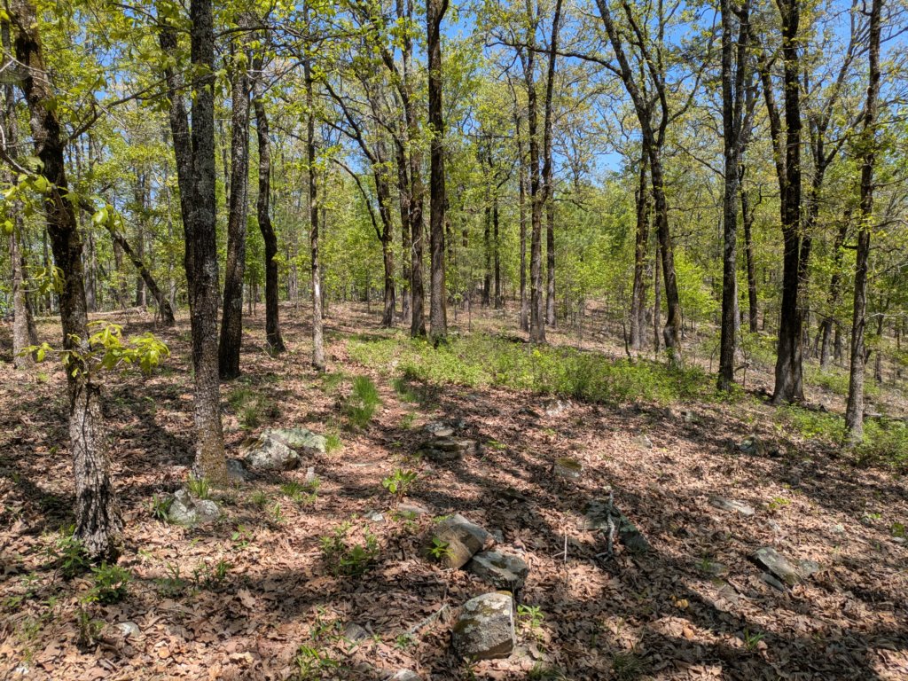 pxl_20250412_175941709.jpg