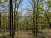 pxl_20250412_180109756_small.jpg