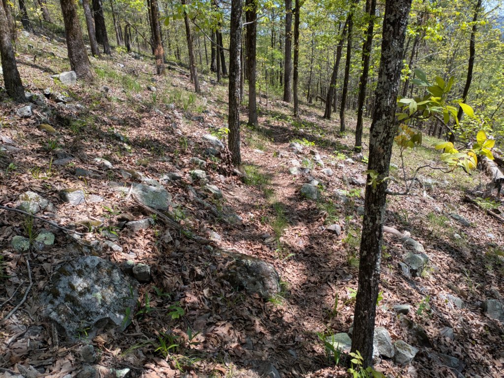 pxl_20250412_180205460.jpg
