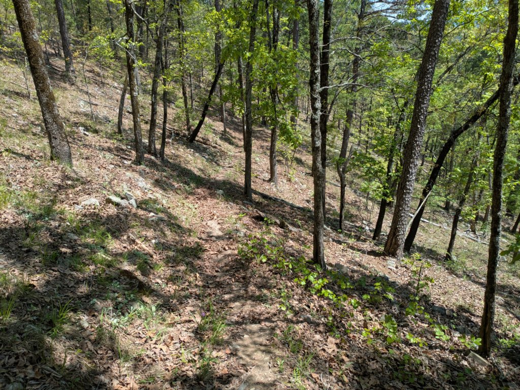 pxl_20250412_180420222.jpg