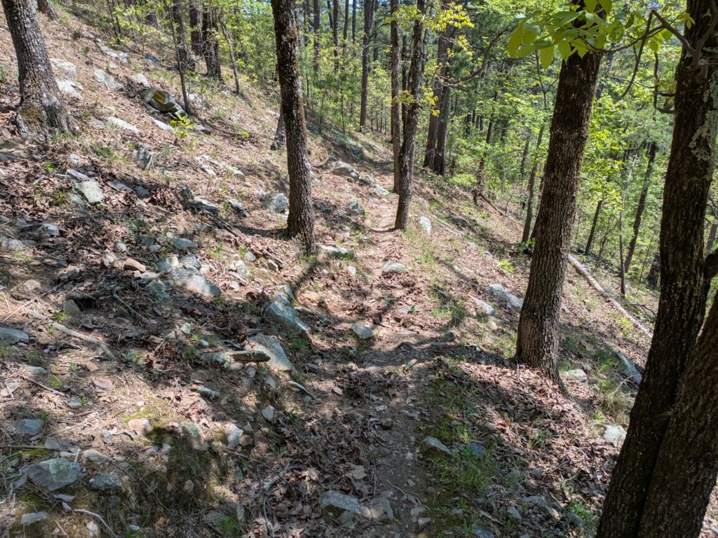 pxl_20250412_180557233.jpg