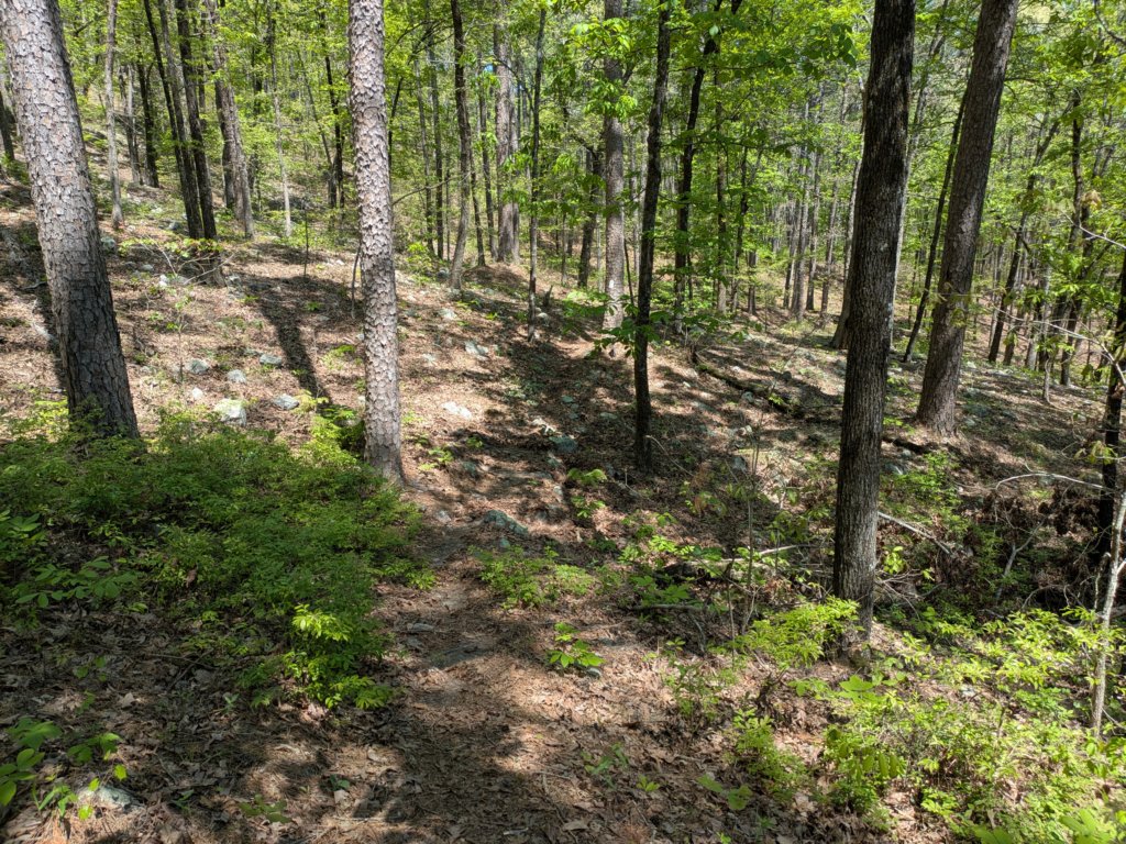pxl_20250412_181247265.jpg