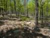 pxl_20250412_181315266_small.jpg