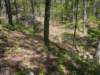 pxl_20250412_181341386_small.jpg