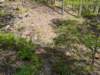 pxl_20250412_181356730_small.jpg