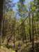 pxl_20250412_181521528_small.jpg
