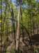 pxl_20250412_181540108_small.jpg