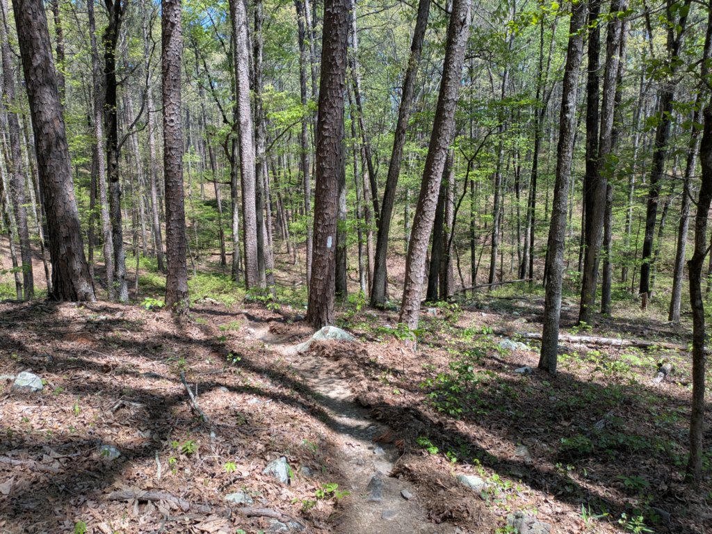 pxl_20250412_181802656.jpg
