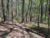 pxl_20250412_181802656_small.jpg
