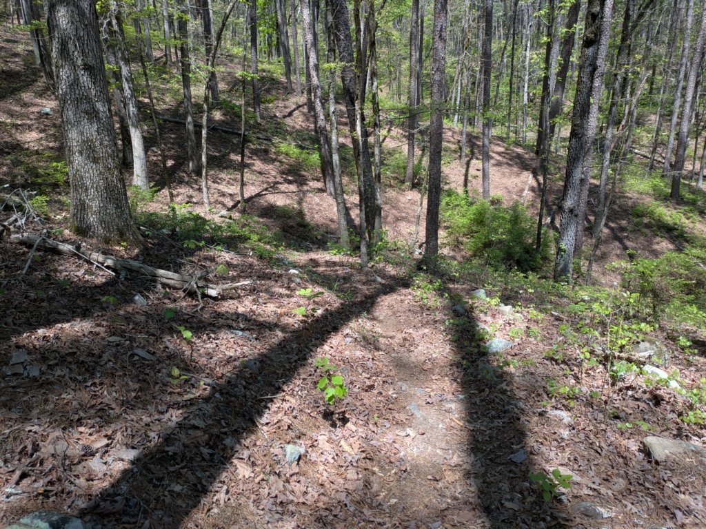 pxl_20250412_181824332.jpg