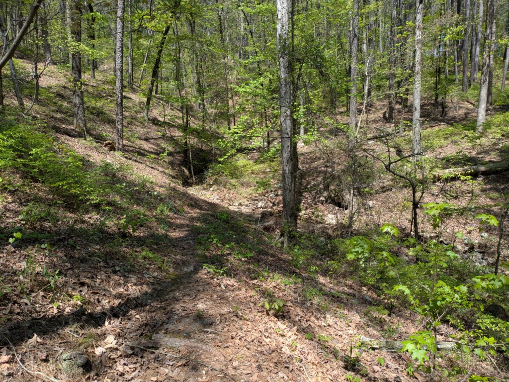 pxl_20250412_181959464.jpg