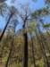 pxl_20250412_182252469_small.jpg
