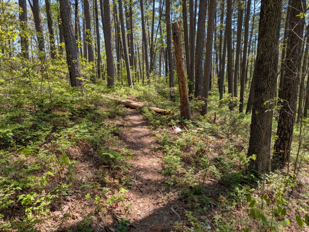 pxl_20250412_182313285.jpg