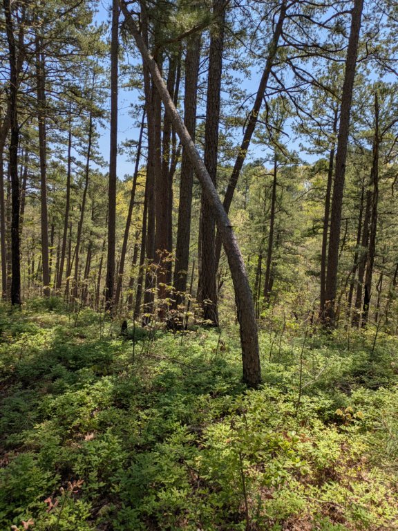 pxl_20250412_182519199.jpg