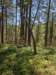pxl_20250412_182519199_small.jpg