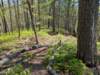 pxl_20250412_182558386_small.jpg