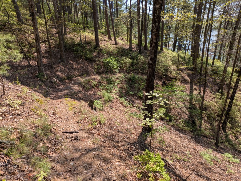 pxl_20250412_183227475.jpg