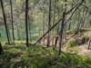 pxl_20250412_183320407_small.jpg