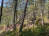 pxl_20250412_183339884_small.jpg