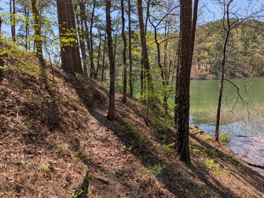 pxl_20250412_183500518.jpg