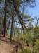 pxl_20250412_183625976_small.jpg