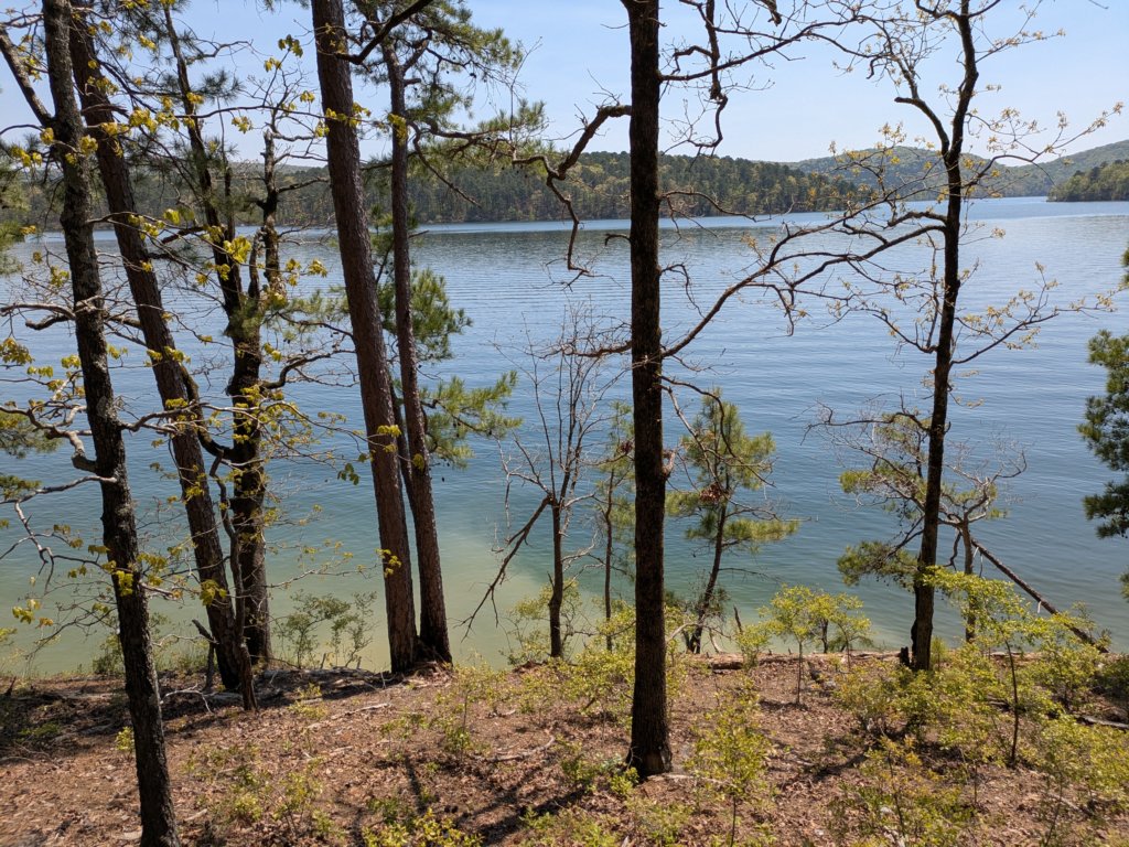 pxl_20250412_183647589.jpg
