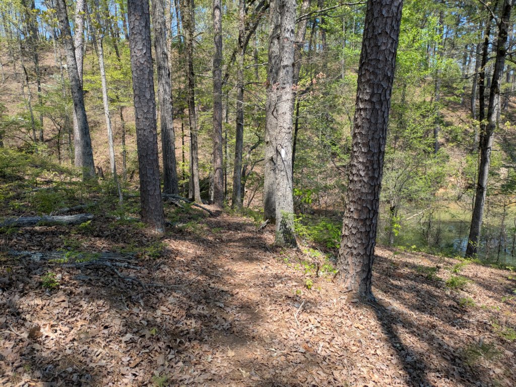pxl_20250412_183755433.jpg