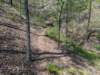 pxl_20250412_183823551_small.jpg