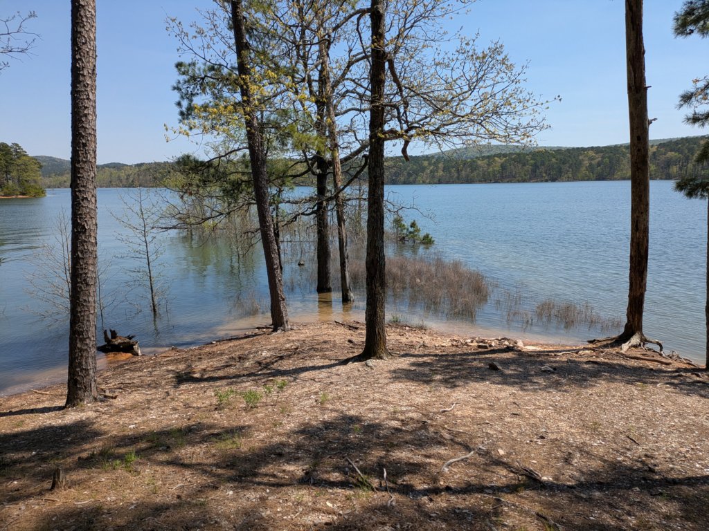 pxl_20250412_184103623.jpg