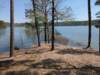 pxl_20250412_184103623_small.jpg