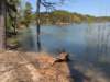 pxl_20250412_184223623_small.jpg