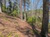 pxl_20250412_184401040_small.jpg