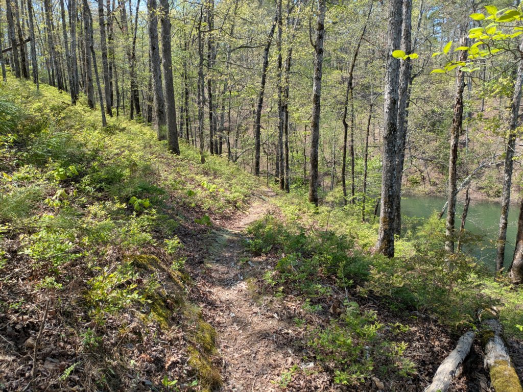 pxl_20250412_184622764.jpg