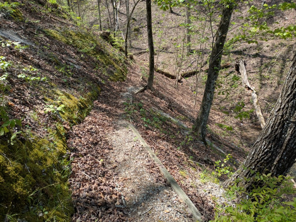 pxl_20250412_184728897.jpg