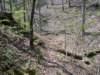 pxl_20250412_184753888_small.jpg