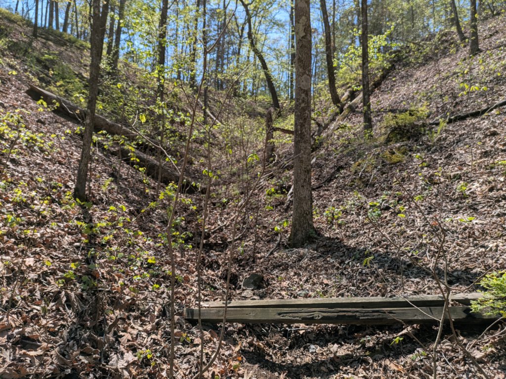 pxl_20250412_184810258mp.jpg
