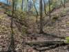 pxl_20250412_184810258mp_small.jpg