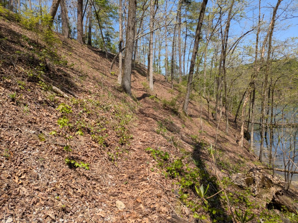 pxl_20250412_184827704.jpg