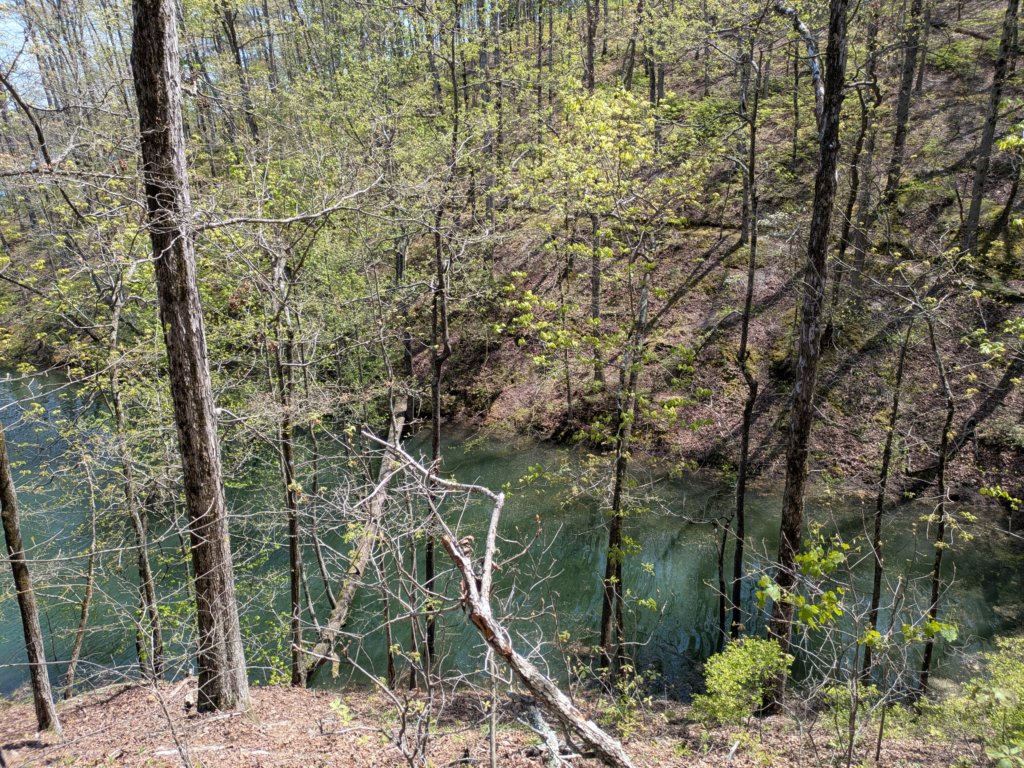 pxl_20250412_184919957.jpg