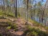 pxl_20250412_184943439_small.jpg