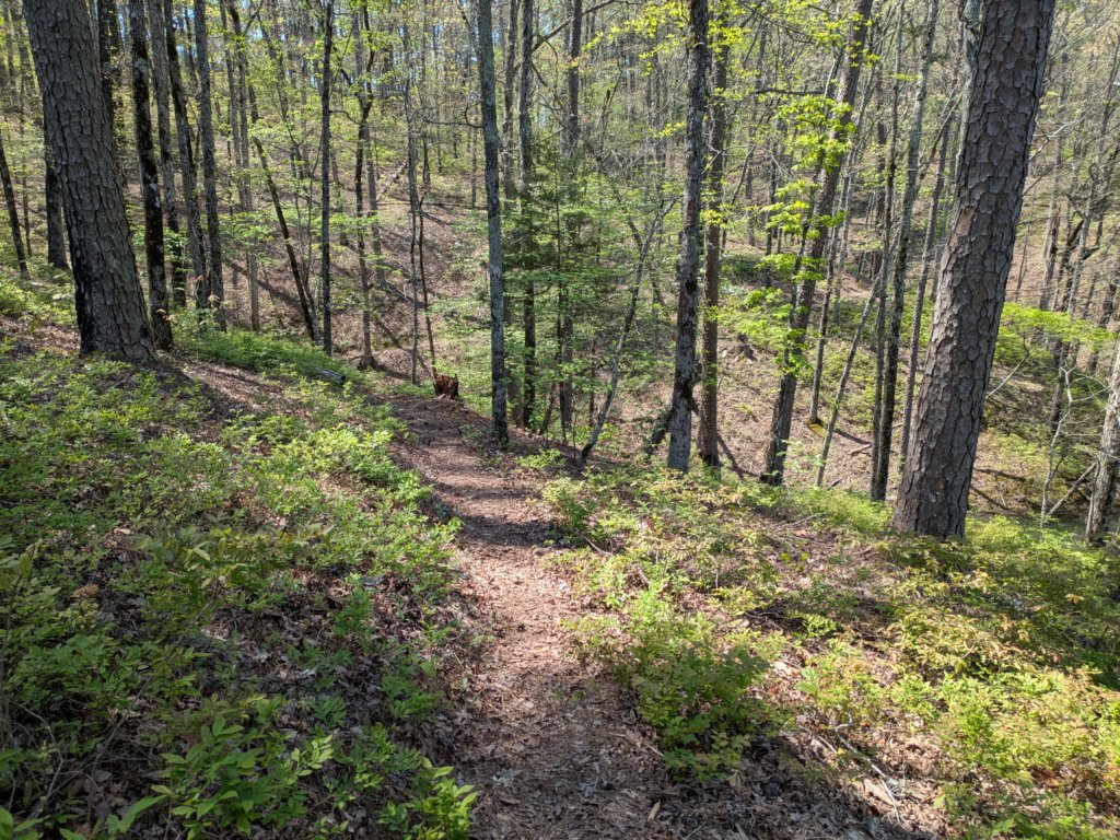 pxl_20250412_185032285.jpg